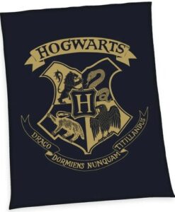 Herding Detská deka Harry Potter Hogwarts